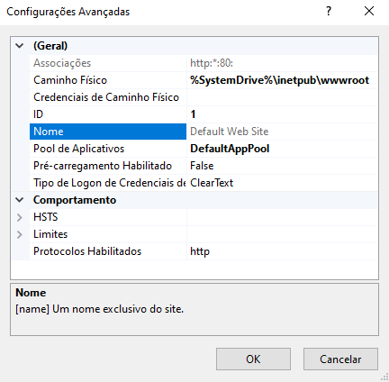 ASP NET IIS Local